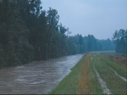 Während des August-Hochwassers 2002 wurde der bisherige Deich fast vollständig eingestaut 