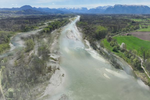 Die Surmündung auf Höhe von Triebenbach. Die Visualisierung zeigt die Situation nach Vollendung der ökologischen Maßnahmen: Dank strömungslenkender Maßnahmen werden immer wieder Uferanbrüche entstehen, mit einem Wechsel aus Flachwasserzonen und tieferen Kolken. Visualisierung: die-grille landschaftsarchitekten partGmbB