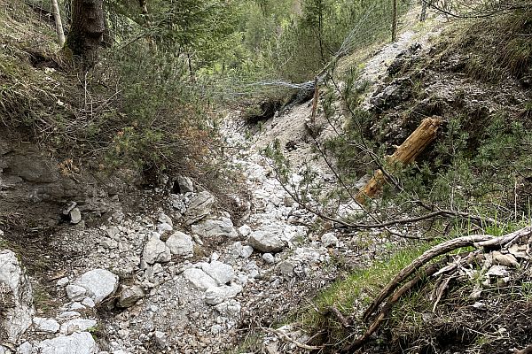 Blick auf die Runse, die in Richtung Bauhof abgegangen ist. 