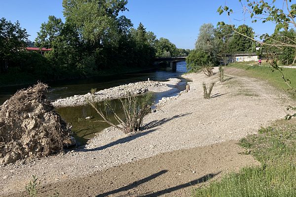 Die aufgeweitete Fläche dient der Naherholung, im Hochwasserfall aber auch als Rententionsfläche. Die aufgeweitete Fläche dient der Naherholung, im Hochwasserfall aber auch als Rentionsfläche.