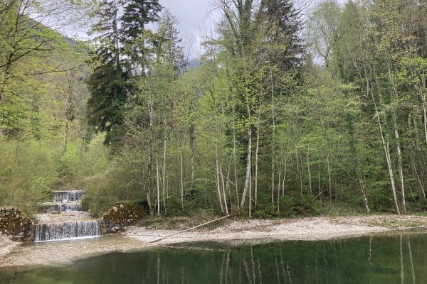 Der alte Kiesfang neben dem Parkplatz der Hochplattenbahn ist zu klein. Außerdem liegt er zu ungünstig, um auch Murgänge ohne weitere Schäden für Straßen und Häuser auffangen zu können. Bildunterschrift Bild 2