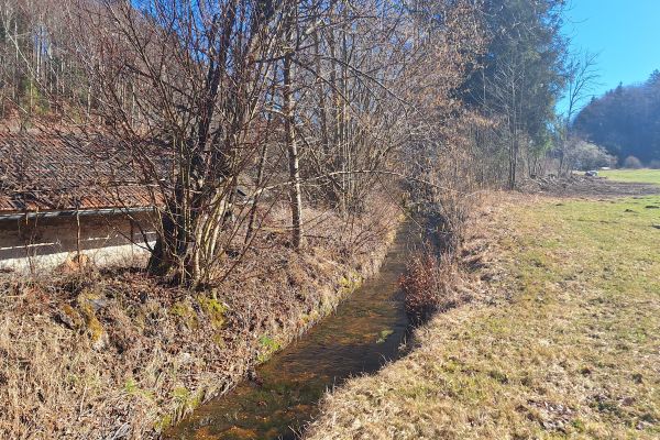 Der Grundbach bei Au mit Blick in Richtung Osten.