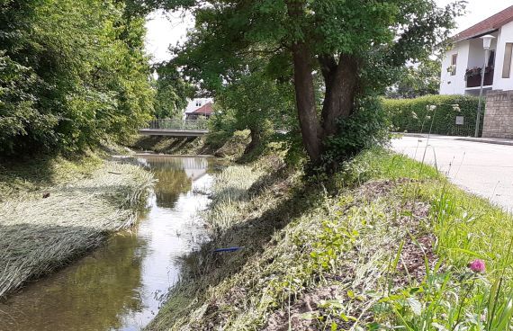 In Perach fließt der Weibach mitten durch den Ort. Bei Hochwasser kann er ausufern.