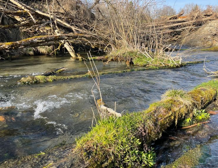 Führt zur Seite Renaturierung Hirschbach