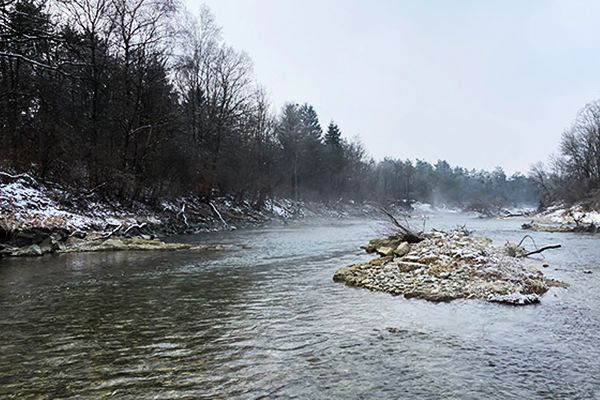Neu angelegte Insel im Gewässer. Neu angelegte Insel im Gewässer.