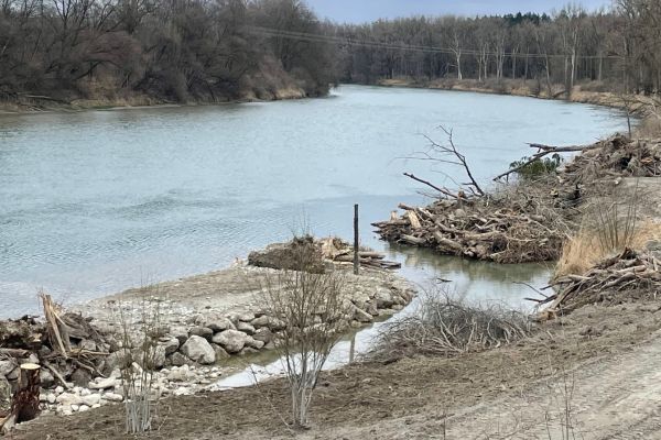 Der neu angelegte Umgehungsbach mit Mündung in den Inn.