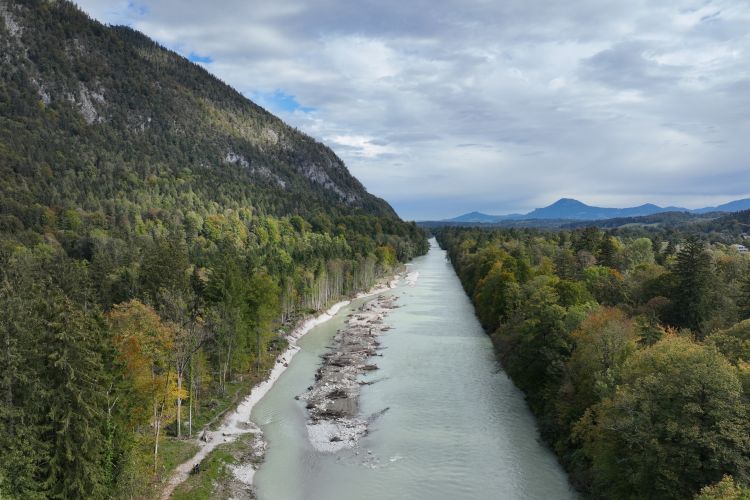 Die neu gestaltete Insel in der Saalach bei Bad Reichenhall. Je nach Wasserstand verändert sich ihr Ausssehen.
