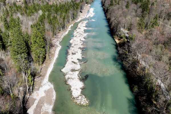 Die Saalach kann sich jetzt frei entfalten. Eine Insel im Fluss sorgt für unterschiedliche Strömungsverhältnisse. Die Saalach kann sich jetzt frei entfalten. Eine Insel im Fluss sorgt für unterschiedliche Strömungsverhältnisse.