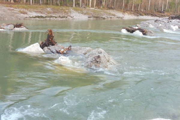 Steine und totes Holz im Wasser sorgen nicht nur für unterschiedliche Strömungsverhältnisse. Sie beiten auch Rückzugsraum für Fische. Steine und totes Holz im Wasser sorgen nicht nur für unterschiedliche Strömungsverhältnisse. Sie bieten auch Rückzugsraum für Fische.