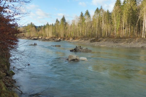 Im Wasser sorgen große Steine, Kies und Wurzelstöcke für unterschiedliche Strömungsverhältnisse. Im Wasser sorgen große Steine, Kies und Wurzelstöcke für unterschiedliche Strömungsverhältnisse.