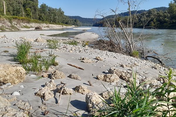 Dank der weichen Ufer sind neue Sandbänke und unterschiedliche Strömungsverhältnisse entstanden. Dank der weichen Ufer sind neue Sandbänke und unterschiedliche Strömungsverhältnisse entstanden.