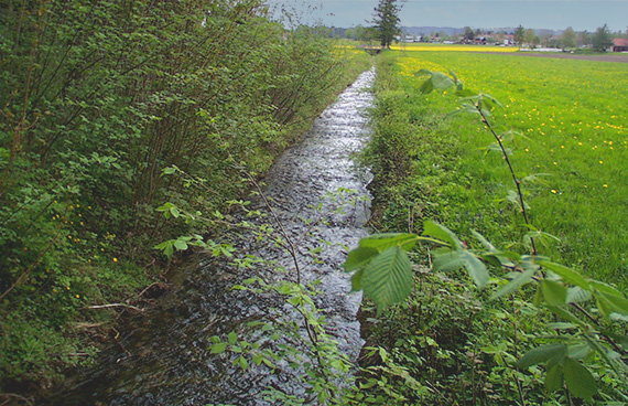 Zwischen Feldern fließt der Tennbodenbach