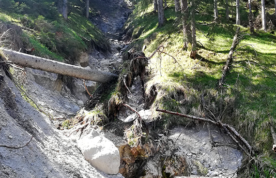 Rechen aus Holzpfählen in der Grünsteinrunse