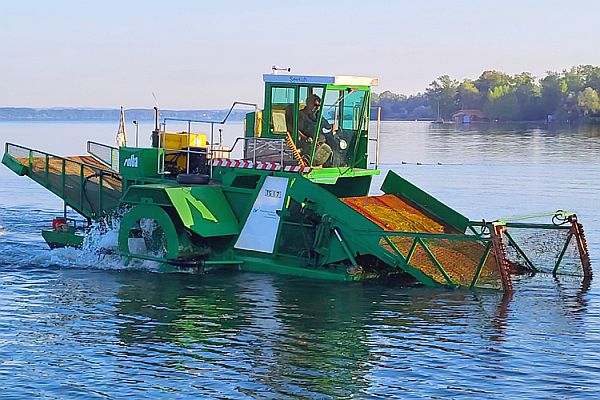 Mähboot Seekuh Mähboot Seekuh
